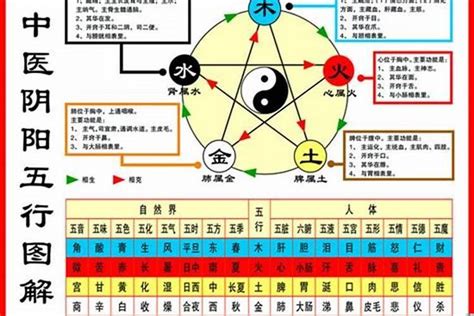 1984年五行属什么|84年属鼠是什么命 84年属鼠的人和什么属相合